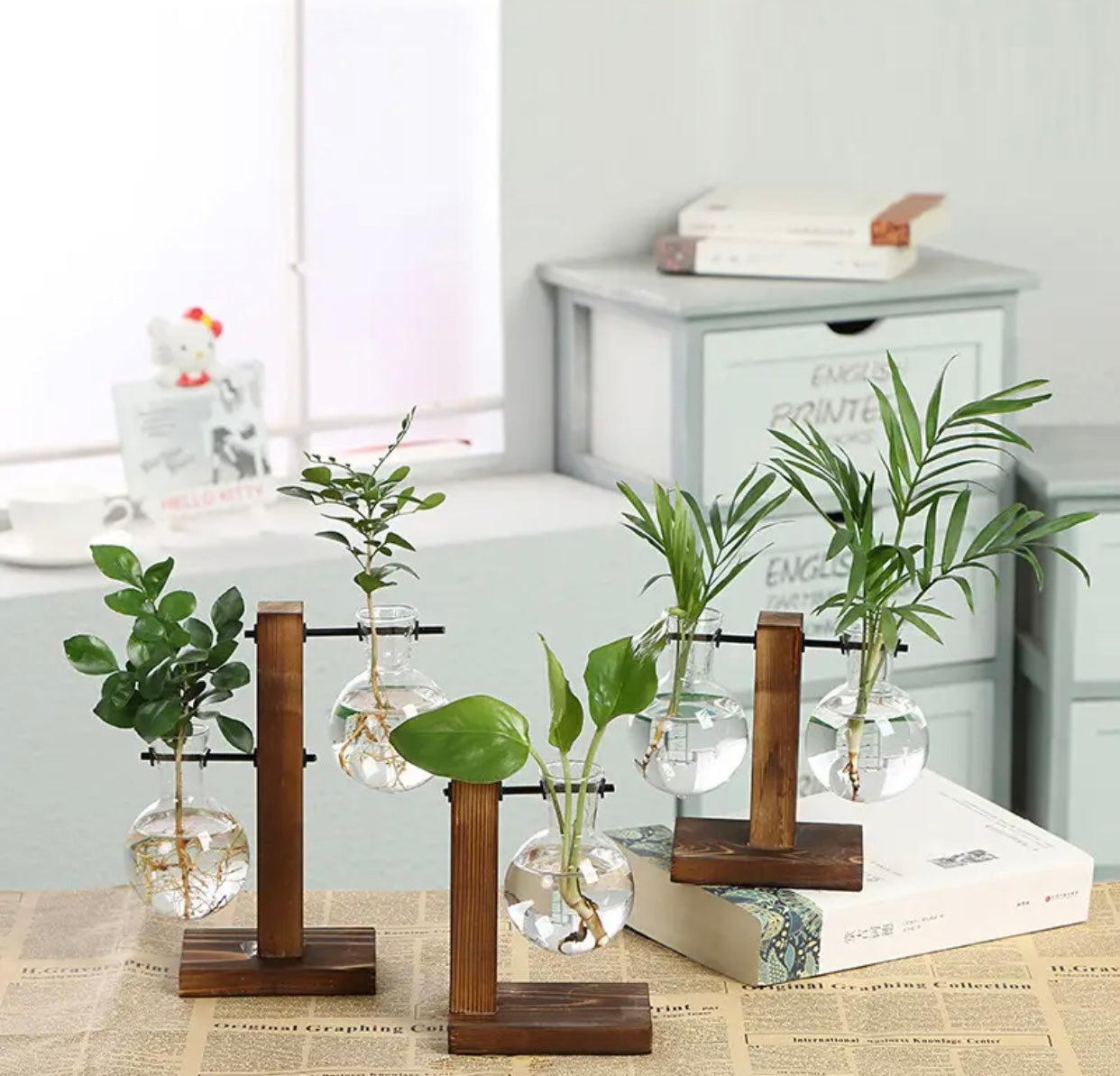 Hydroponic Plant Vases
