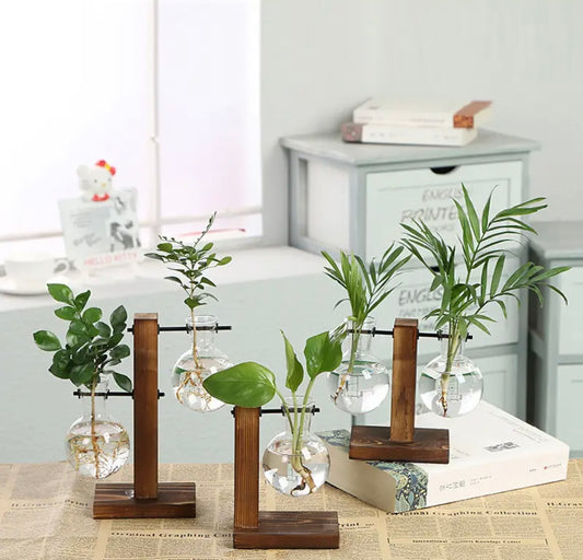 Hydroponic Plant Vases