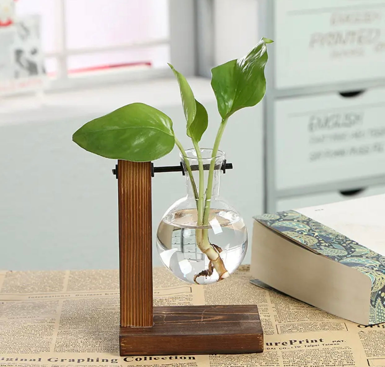 Hydroponic Plant Vases