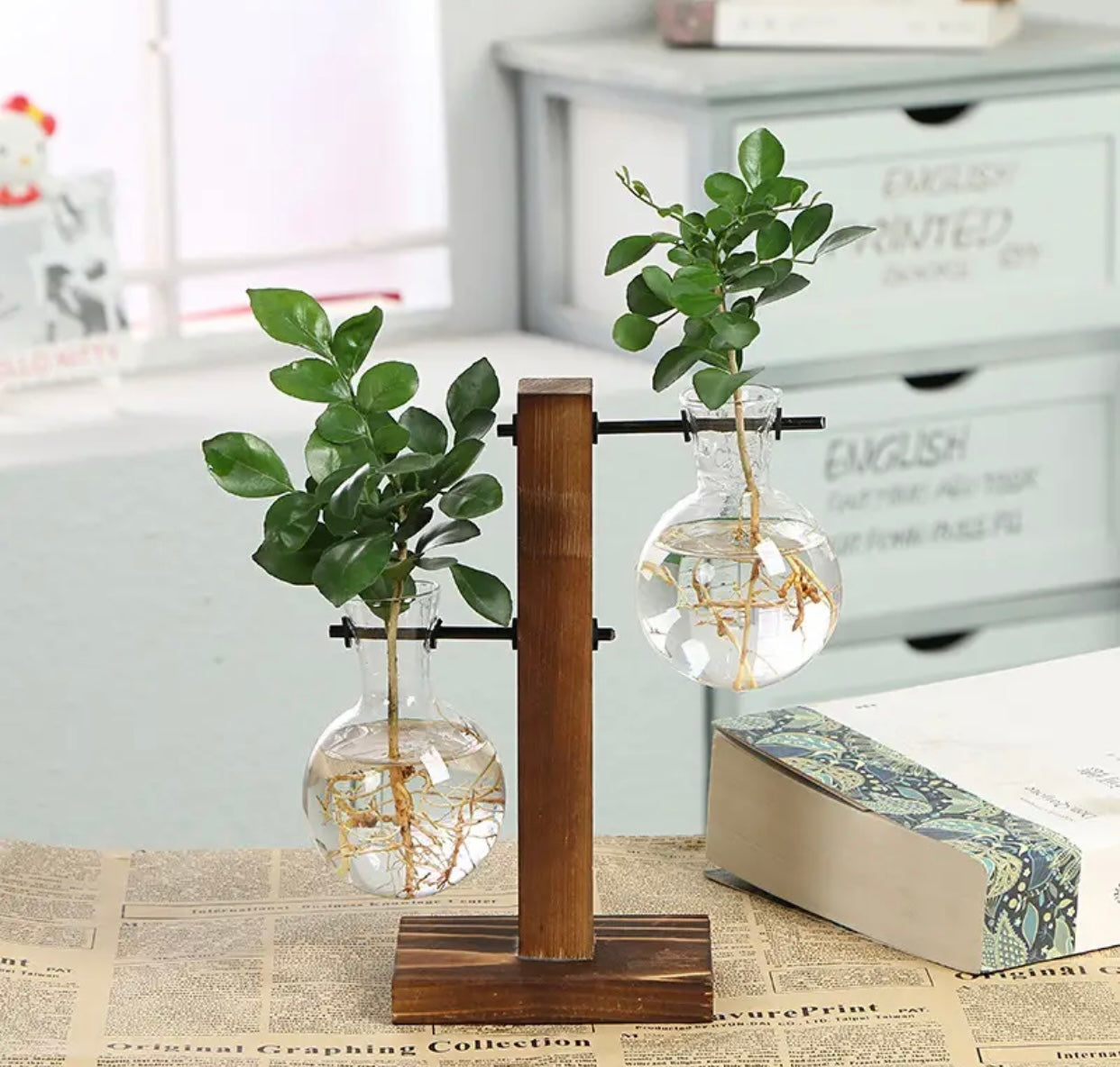 Hydroponic Plant Vases